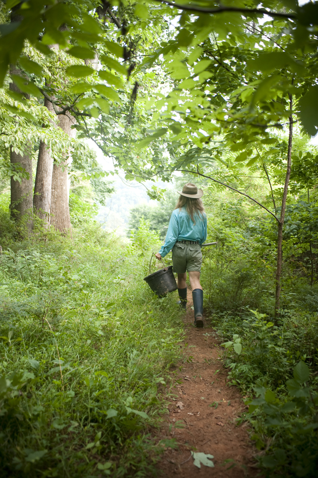 01_daviscreek_0