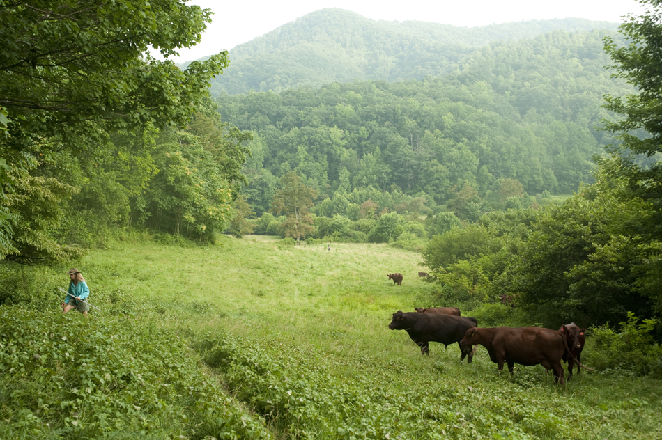 02_daviscreek_0