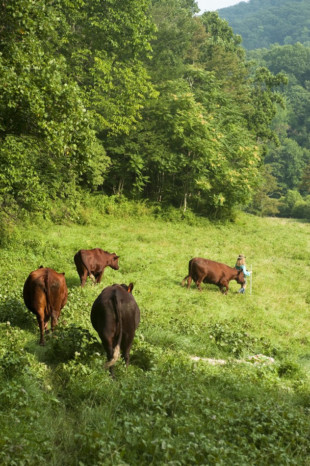 07_daviscreek_0