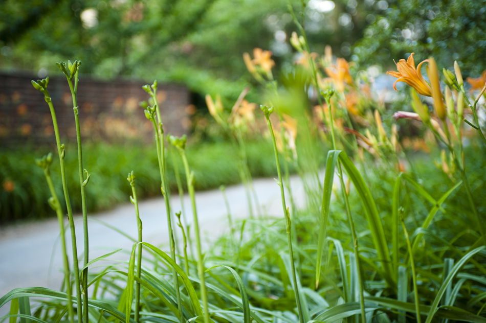 hr_gardens29